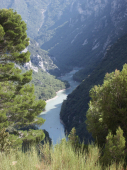 Verdon