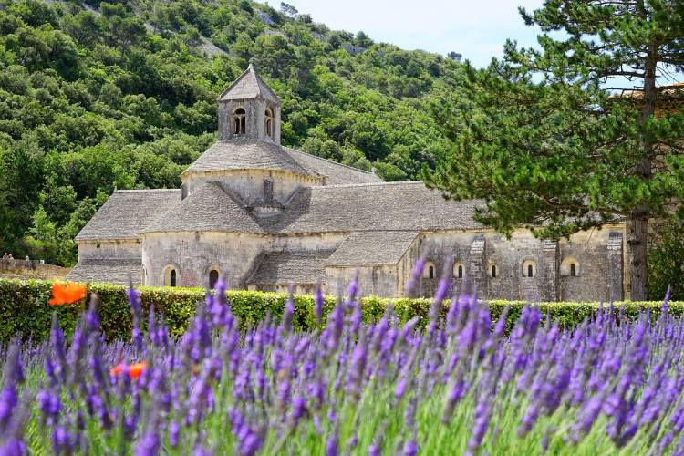 Klášter Abbaye de Sénanque, Provence, Francie